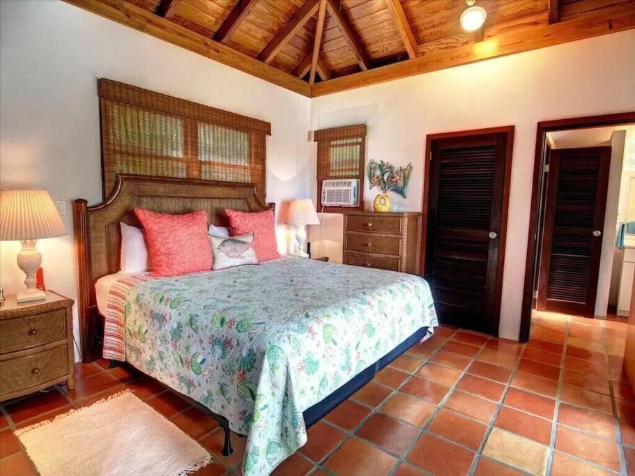 Cielo Vista Villa 3 Bdrm Sleeps 6 Heavenly View Cruz Bay 외부 사진