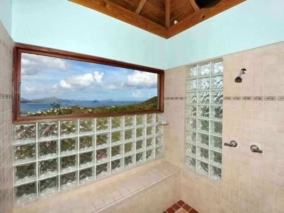 Cielo Vista Villa 3 Bdrm Sleeps 6 Heavenly View Cruz Bay 외부 사진