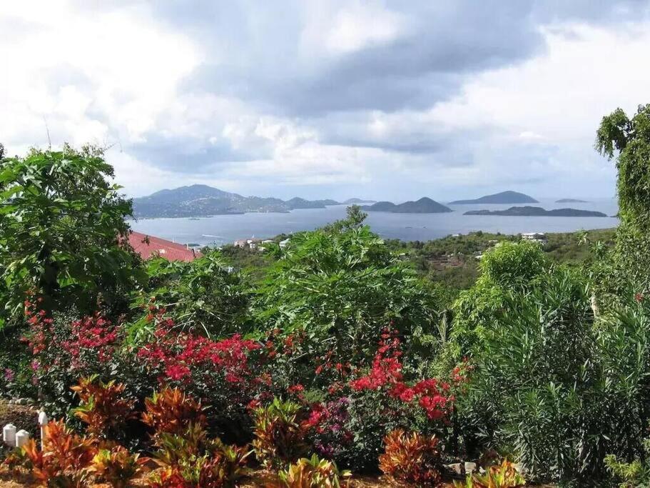 Cielo Vista Villa 3 Bdrm Sleeps 6 Heavenly View Cruz Bay 외부 사진